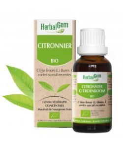 Citronnier (Citrus limonum) écorce BIO, 15 ml